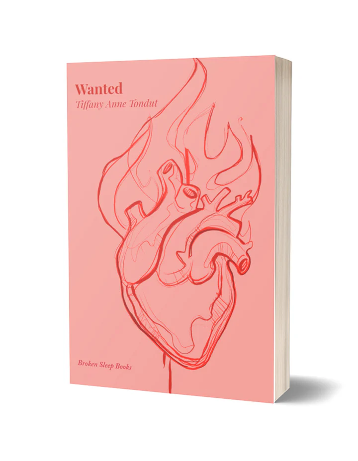 Cover of poetry pamphlet 'Wanted' by Tiffany Anne Tondut Broken Sleep Books publisher featuring pink background with red graphic flaming heart