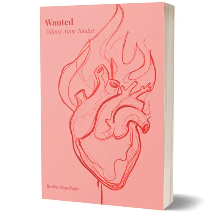 Wanted_Pack Shot_Cover_Tondut
